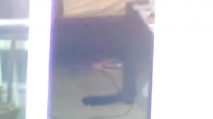 Tío follando con una mujer mayor.